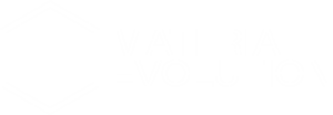 Material Evolution